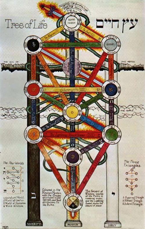 Tree of Life - AnthroWiki